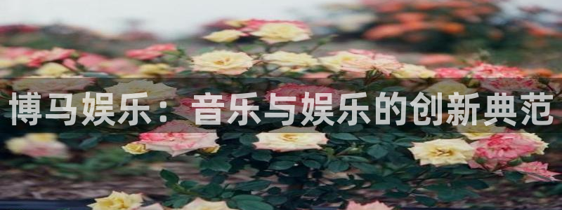 恒盛娱乐登陆：博马娱乐：音乐与娱乐的创新典范