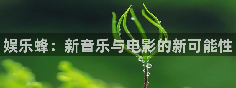 恒盛娱乐下载：娱乐蜂：新音乐与电影的新可能性